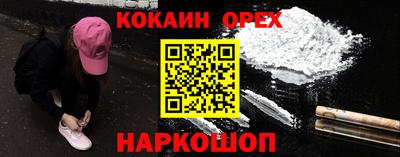дмт Кингисепп