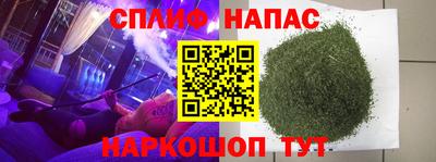 дмт Кингисепп