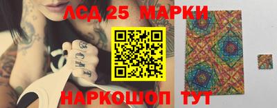 дмт Кингисепп