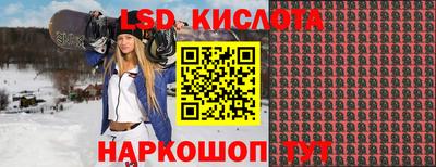 дмт Кингисепп