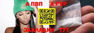 дмт Кингисепп