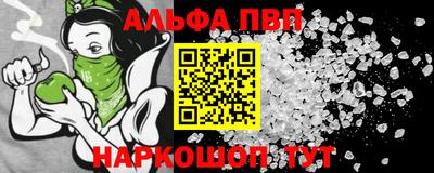 дмт Кингисепп