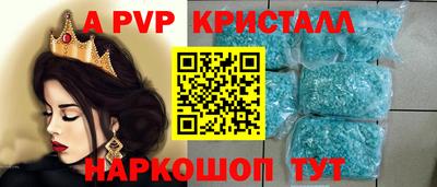 дмт Кингисепп
