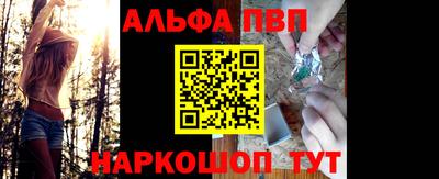 дмт Кингисепп