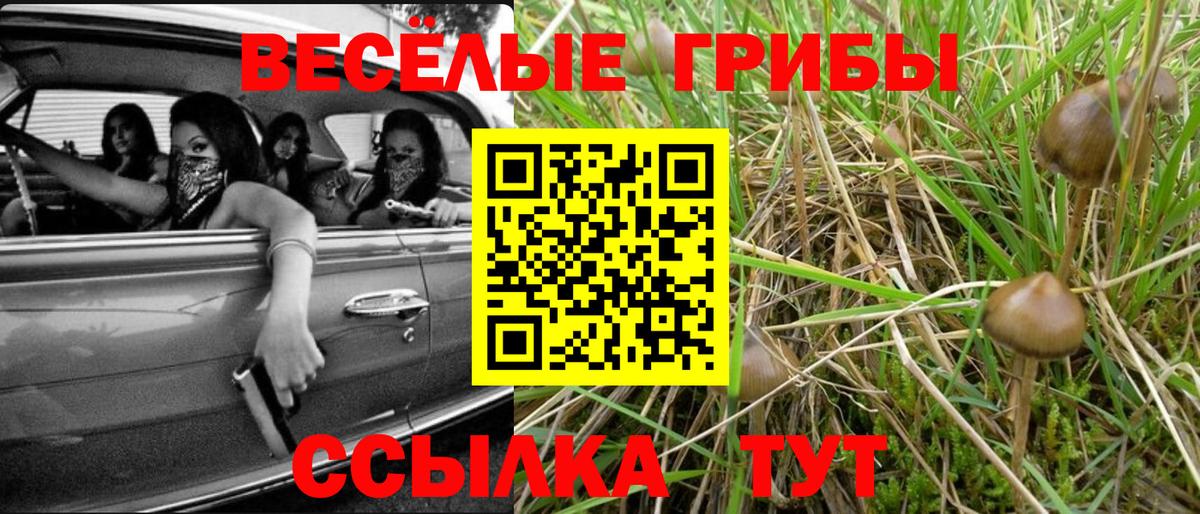 Псилоцибиновые грибы мицелий Югорск